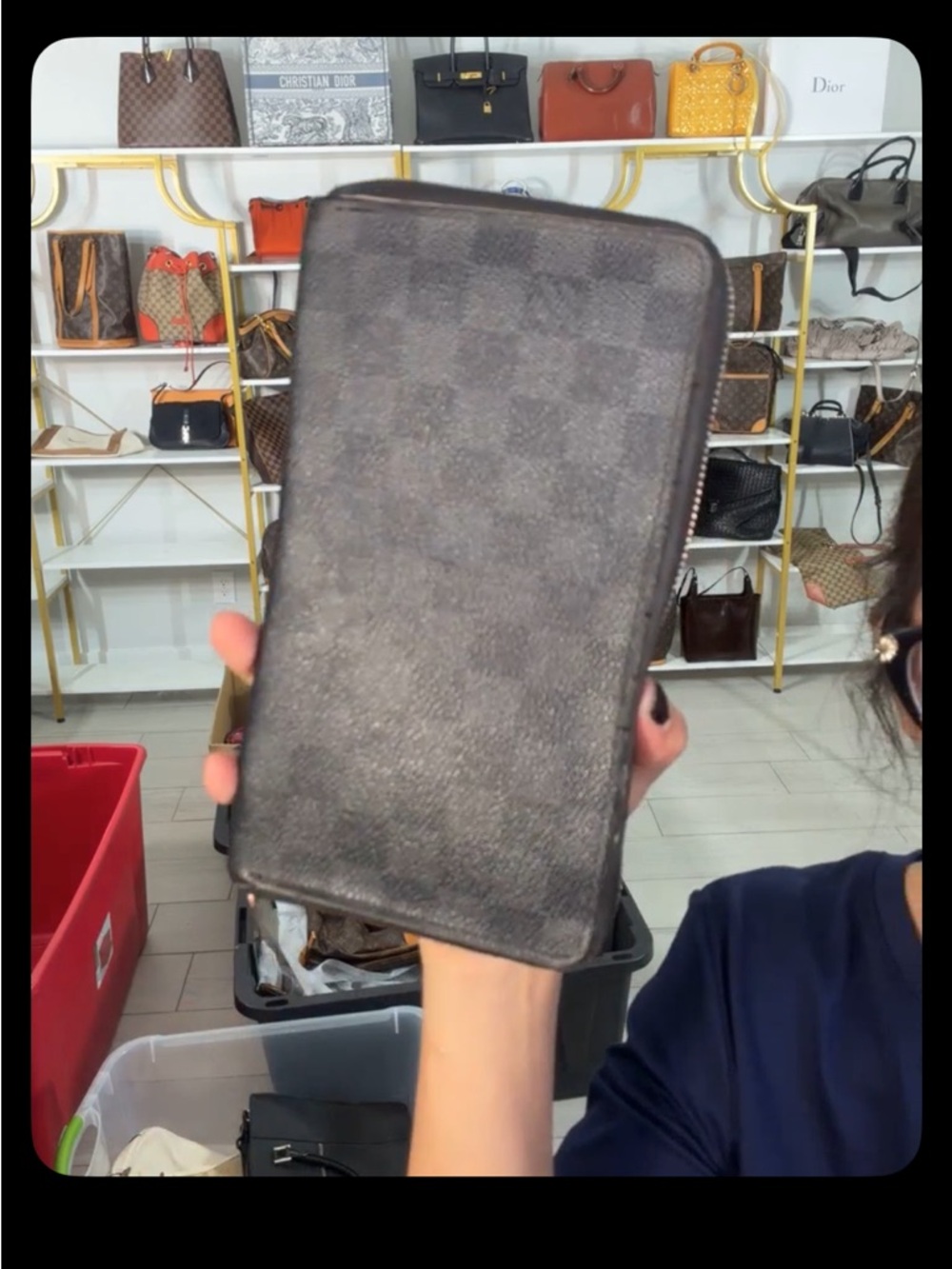 Louis Vuitton Damier graphite ORGANIZER big boy zippy w/ callout